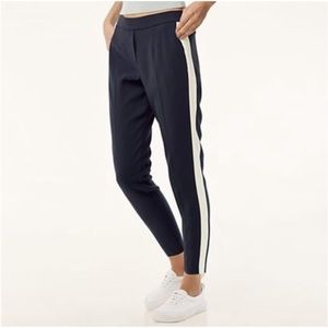 Aritzia Babaton Conan Pant